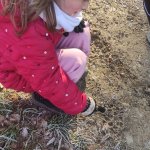 phoca_thumb_m_zajci a zvtka 4 Fotogalerie